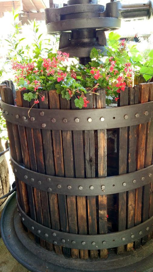Relais Profumo Di Vino Bed & Breakfast Боргоманеро Екстериор снимка